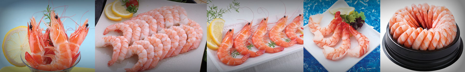 Cooked-Vannamei-Shrimp-Products