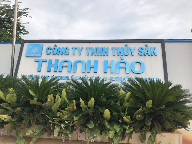Thanh Hao company Thanh Hao company